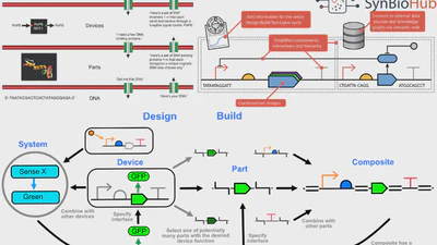 🏗️🧬 Synthetic Biology foundations and infrastructure featured image
