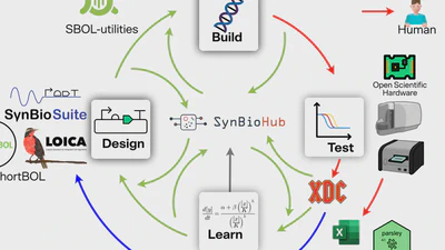🤖🧑🏻‍🔬 Automated, modular, and scalable data-driven DBTL workflows featured image