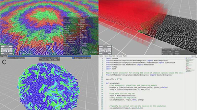 ⚙️🦠 Biophysical and biochemical simulation engines featured image