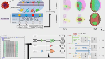 🧬🔧 Engineer genetic and genomic networks for intelligent biological systems featured image