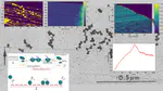 Non-equilibrium Polysome Dynamics