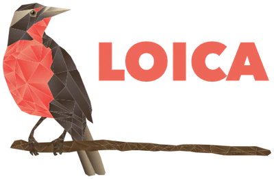 LOICA featured image