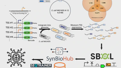 SeqTrainer: Encoding Synthetic Biology Data for Machine Learning featured image